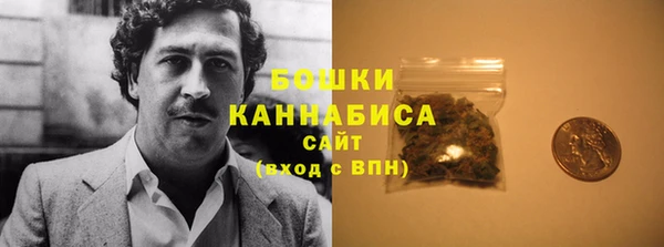 стафф Кодинск