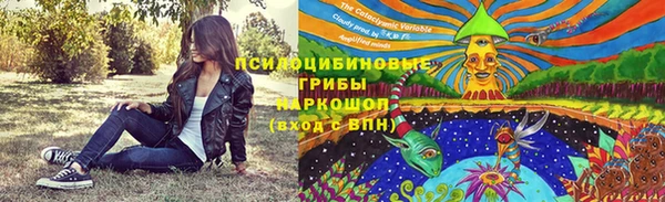 стафф Кодинск