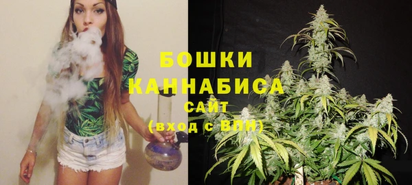 стафф Кодинск